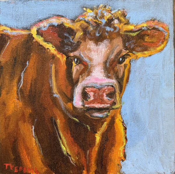 Cow Glow