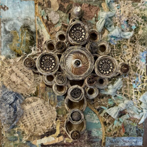 Transformed by Carolyn Buchanan