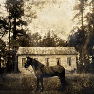 Scotland County, NC by David Knox